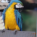 ���� ���������, �������, 56 ��� - ��������� 19 ��� 2014 � ������ ���� ����������