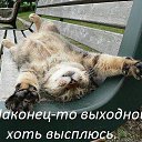 ���� ������, ������� - ��������� 18 ������ 2014 � ������ ������ ��������