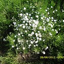 ���� ������, ����������, 66 ��� - ��������� 18 ������� 2014 � ������ ������ ��������