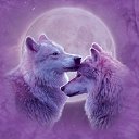   ,  -  25  2014       !