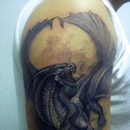 ���������, ��������������