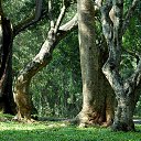 ����������� ������������ ���. ��� - ����� �� ������� ���� �����