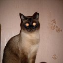 ���� ������, ��������, 46 ��� - ��������� 5 ������ 2014 � ������ ���� ����������