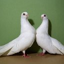 ���� �������, �����-��������� - ��������� 28 ���� 2014 � ������ ������ ��������