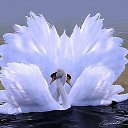 ���� �������, ������, 52 ���� - ��������� 24 ������ 2014 � ������ ���� ����������