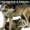 ���� ��������, ����������� - ��������� 14 ���� 2014 � ������ ���� ����������