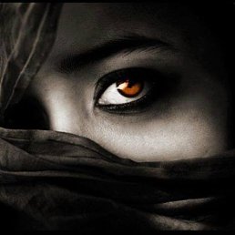 �����, ����� ���, 52 ����