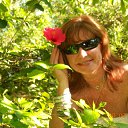 ���� ������, ��������, 62 ���� - ��������� 17 ���� 2014