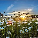 ���� Svetlana, ������ - ��������� 8 ������� 2014 � ������ ���� ����������