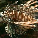 ���� �, ����, 47 ��� - ��������� 31 ���� 2014 � ������ ������ ��������