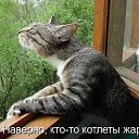 ���� �_�_�_�_�, ������-��-����, 43 ���� - ��������� 15 ��� 2014 � ������ ������ ��������