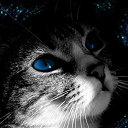 ���� ������, ����� - ��������� 22 ����� 2014 � ������ ���� ����������
