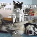 ���� ������, ������� - ��������� 14 ���� 2014 � ������ ������ ��������