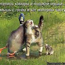 ���� ������., ������, 65 ��� - ��������� 6 ��� 2014 � ������ �����,� �����...�