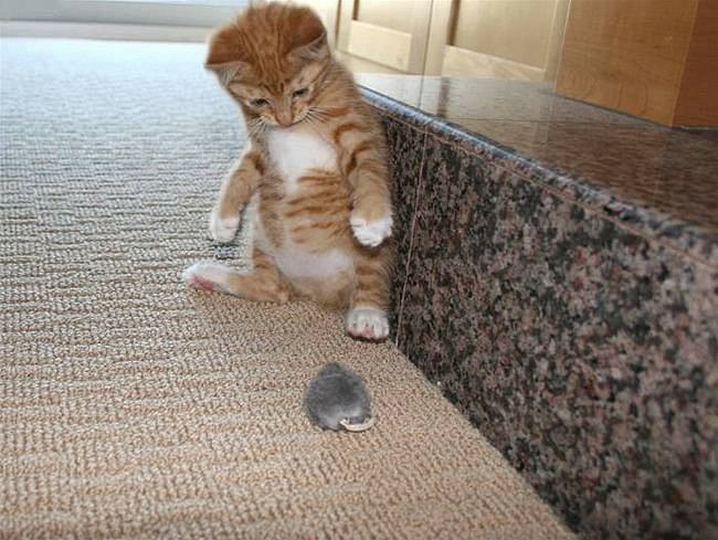 ���������!....� ��� ��???