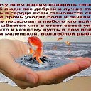 ���� �����, ������������, 73 ���� - ��������� 19 ����� 2014 � ������ ������ ��������