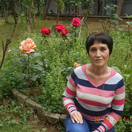 ���� ����, �����-���������, 51 ��� - ��������� 18 ���� 2014