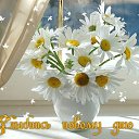 ���� �����, ������ - ��������� 14 ��� 2014 � ������ ������ ��������