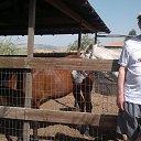 Israil �� ������� ���� ����������