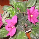 ���� �����, ������ �������� - ��������� 22 ����� 2014 � ������ �������