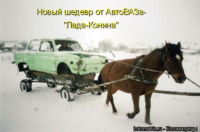 ���� ������� :3 - 1 ������� 2014 � 13:08