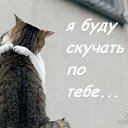 ���� �����, ���������, 63 ���� - ��������� 10 ��� 2014 � ������ ������ ��������