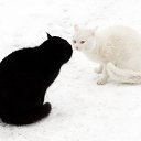 ���� ����, ������, 67 ��� - ��������� 8 ������ 2014 � ������ ������ ��������