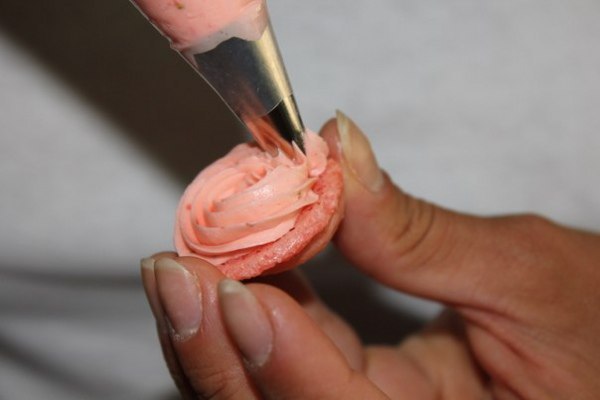 Macarons 