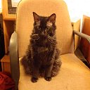 ���� �����, �����-���������, 62 ���� - ��������� 29 ���� 2014 � ������ ���� ��������