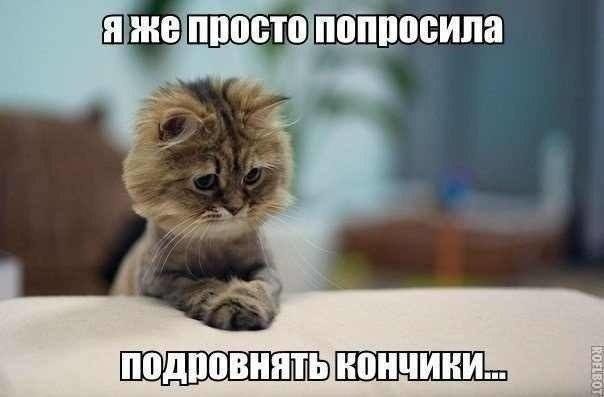  ( ) - 2  2014  19:01