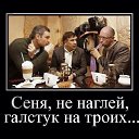 ���� ���������, ������, 41 ��� - ��������� 21 ������ 2014 � ������ ������ ��������
