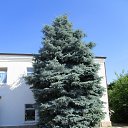 ���� �������, ������, 62 ���� - ��������� 23 ���� 2014 � ������ ���� ����������