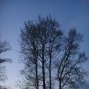 ���� ��������, ������, 63 ���� - ��������� 17 ������� 2014 � ������ ���� ����������