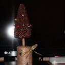 ���� ��������, ��������, 37 ��� - ��������� 21 ��� 2014 � ������ ��� �����