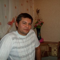 ������, ����-�����������, 51 ���