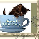 ���� Ta����, ������� - ��������� 24 ������ 2014 � ������ ������ ��������