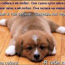 ���� �������, ���������� - ��������� 6 ���� 2014 � ������ ������� ���� �������