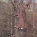 ���� ������, �����-���������, 69 ��� - ��������� 28 ���� 2014