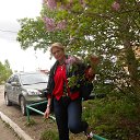 ���� �������, �����������, 61 ��� - ��������� 18 ��� 2014