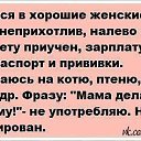 ���� �������, �����-���������, 38 ��� - ��������� 10 ��� 2014 � ������ ������ ��������