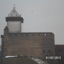 Narva    