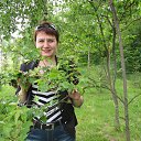 ���� �������, �������, 55 ��� - ��������� 19 ���� 2014 � ������ ���� ����������