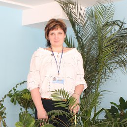 ���� ��������, �����, 53 ���� - ��������� 28 ����� 2014