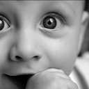 ���� Volk, �������, 46 ��� - ��������� 21 ��� 2014 � ������ ������ ��������