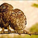 ���� �������, �������, 54 ���� - ��������� 31 ���� 2014 � ������ ������ ��������