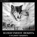 ���� ����, ������, 60 ��� - ��������� 14 ������ 2014 � ������ ��