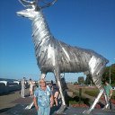 ���� �����, ������ ��������, 61 ��� - ��������� 11 ������� 2014 � ������ ���� ����������