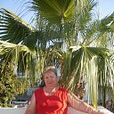  , , 62  -  12  2014   .  - 2013