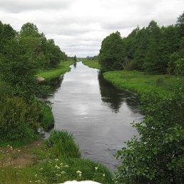 ���� �����, �����-���������, 46 ��� - ��������� 20 ������� 2014