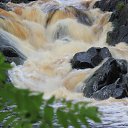 ���� ���������, ������, 55 ��� - ��������� 16 ���� 2014 � ������ ��������� ������